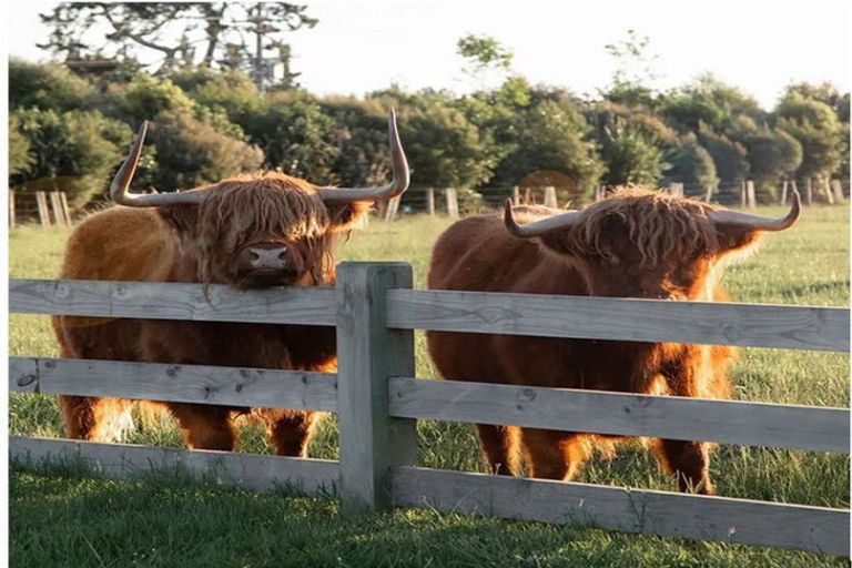 Photo of property in 4 Awatiro Drive, Kaukapakapa, 0871