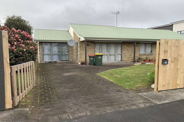 Photo of property in 92 Carrington Avenue, Silverdale, Hamilton, 3216