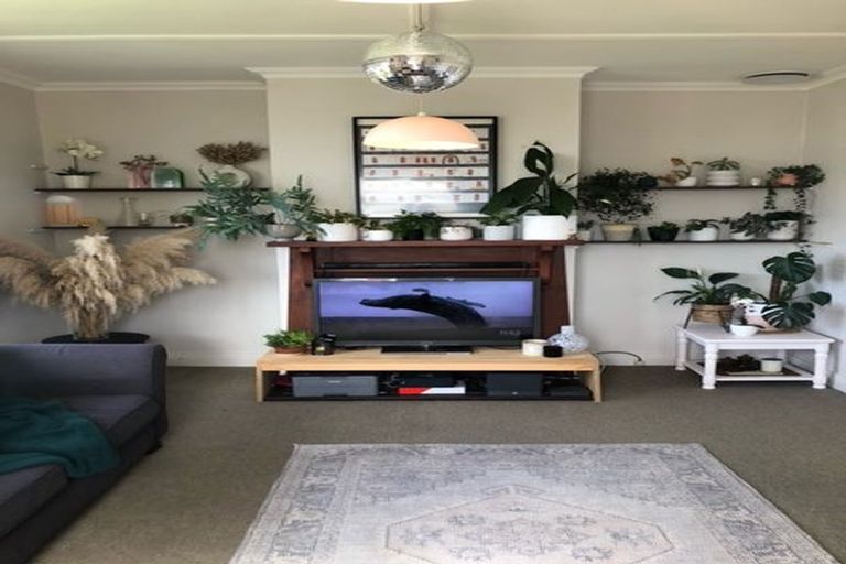 Photo of property in 5 Charlotte Avenue, Brooklyn, Wellington, 6021