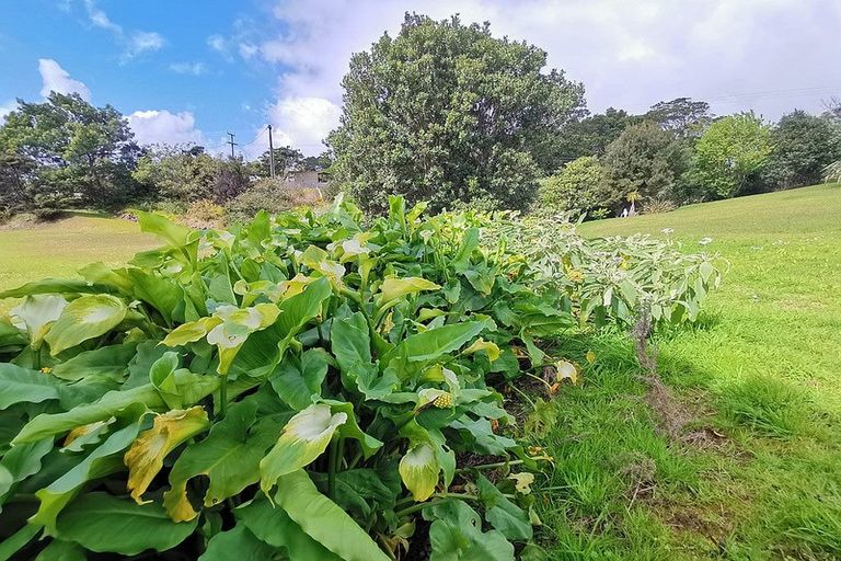 Photo of property in 10 Goebel Street, Tinopai, 0593