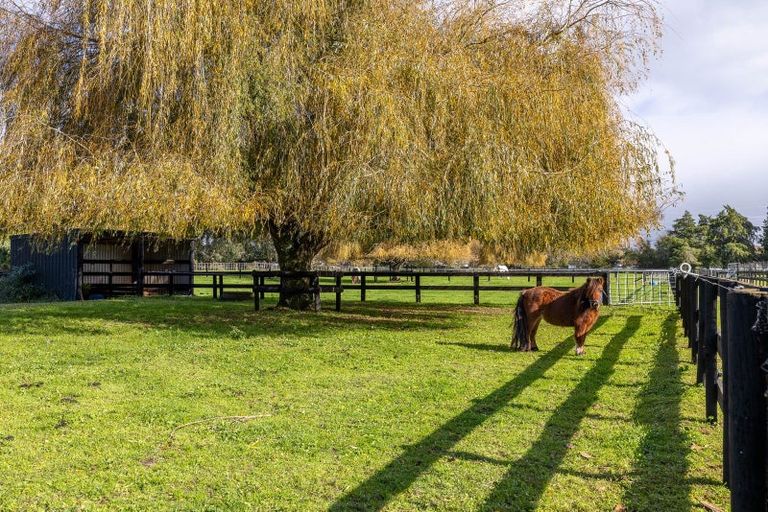 Photo of property in 204 Racecourse Road, Cambridge, 3493