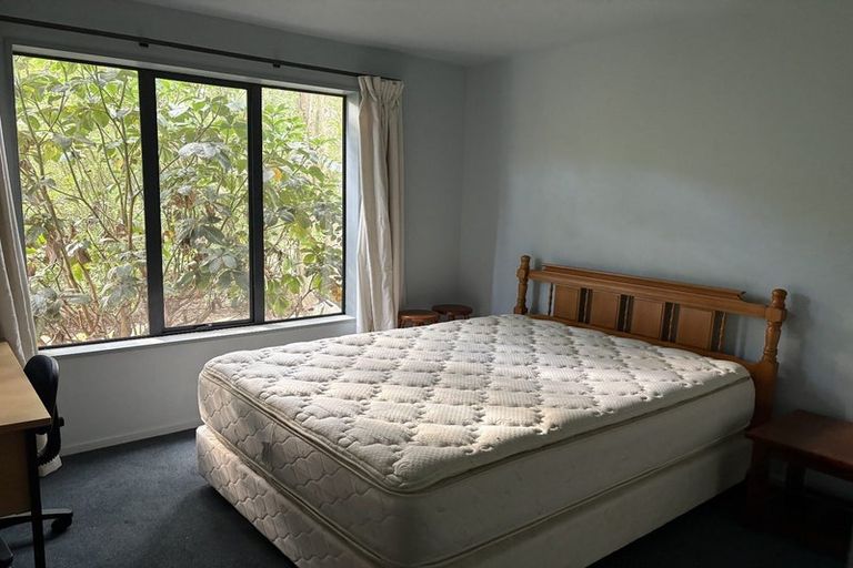 Photo of property in 141 Foley Road, Levels, Timaru, 7975