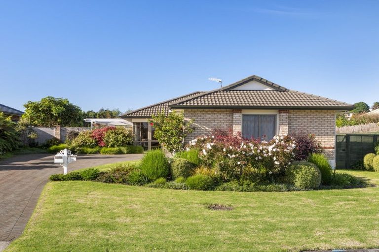 Photo of property in 36 Donnington Place, Bethlehem, Tauranga, 3110