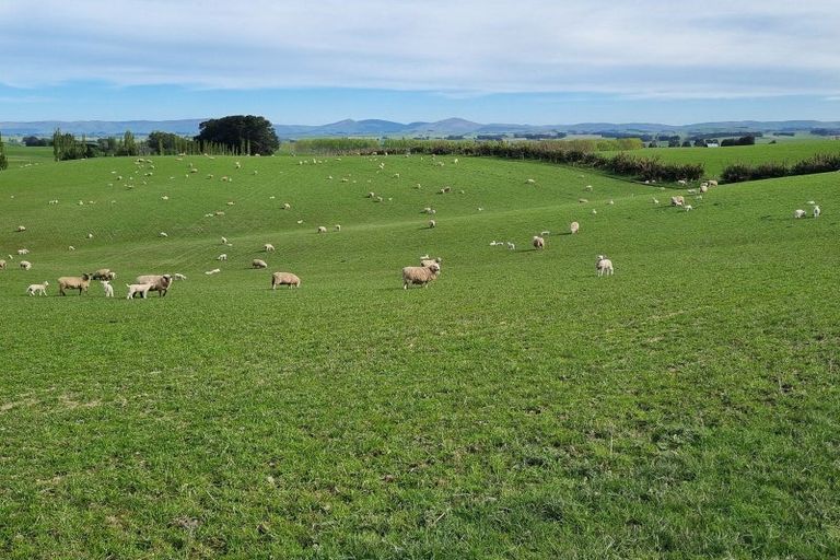 Photo of property in 1446a Clydevale Road, Clydevale, 9274