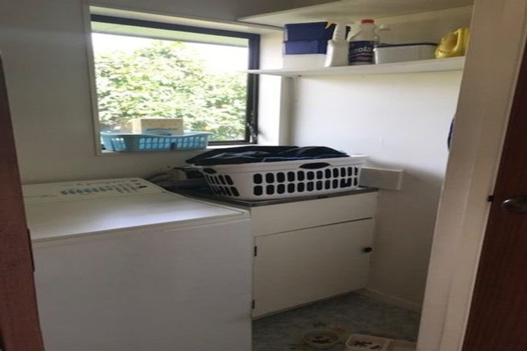 Photo of property in 56 Alison Street, Hamilton Lake, Hamilton, 3204