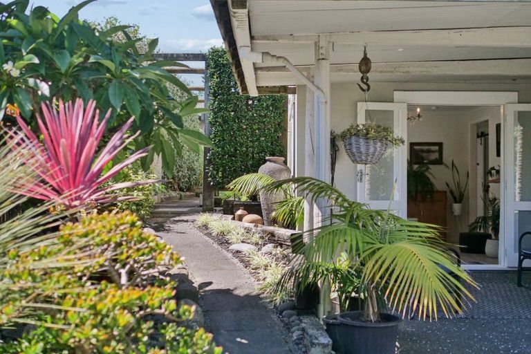 Photo of property in 61 Oceanview Road, Mount Maunganui, 3116
