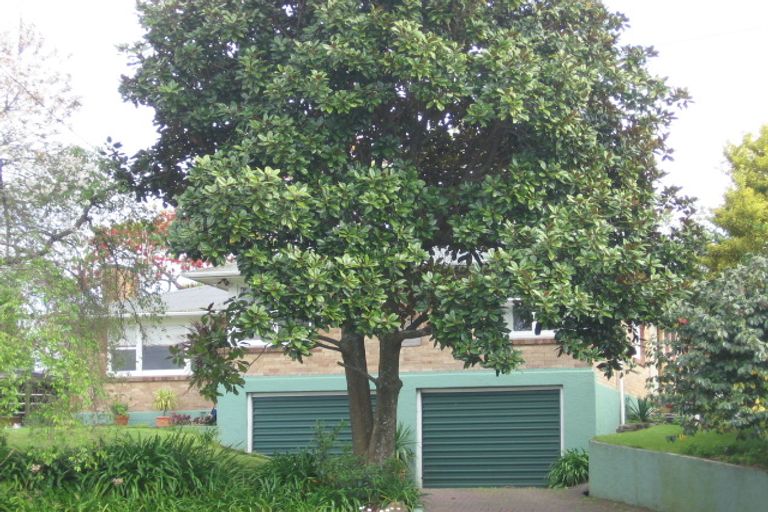 Photo of property in 11 Clifford Street, Morrinsville, 3300