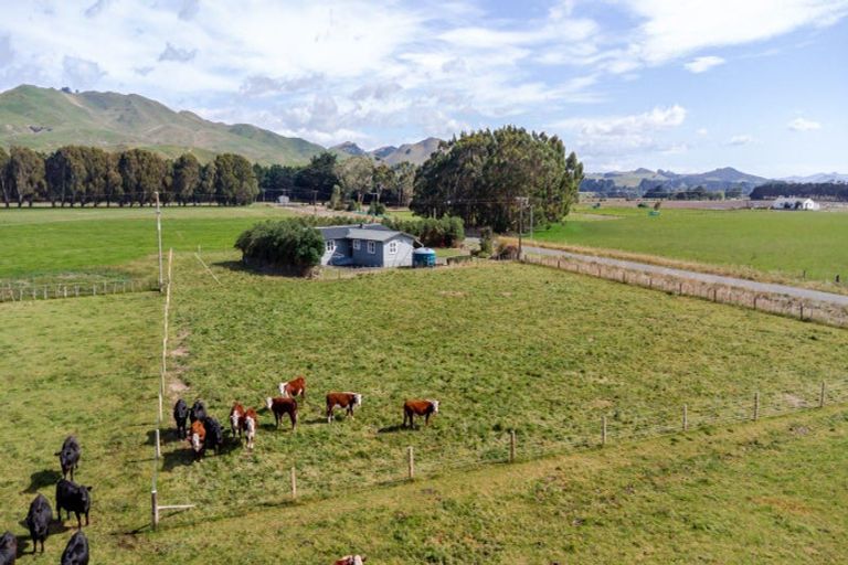Photo of property in 667 Waitahora Valley Road, Waitahora, Dannevirke, 4971