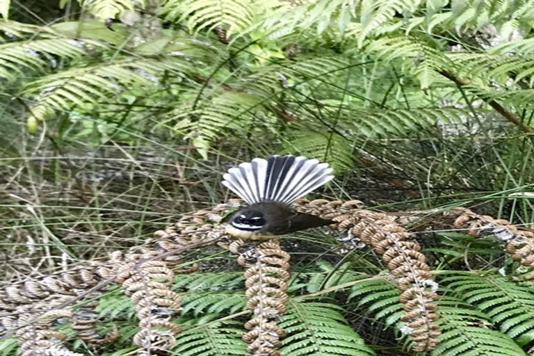 Photo of property in 2109 Cove Road, Mangawhai, Kaiwaka, 0573