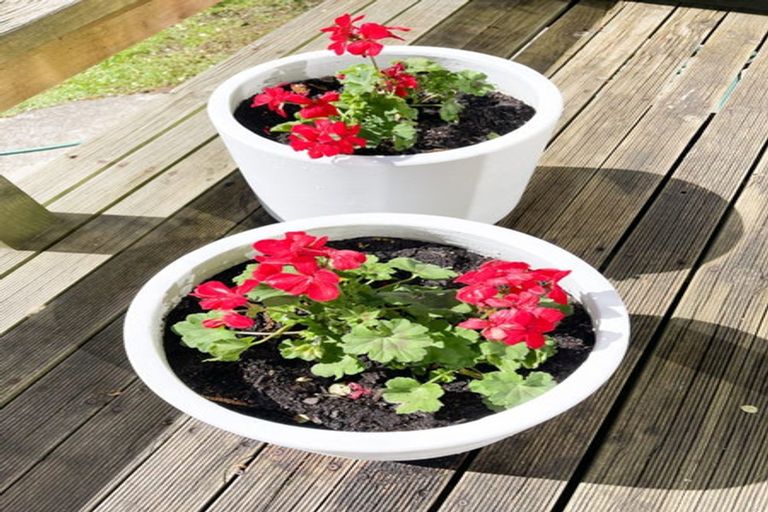 Photo of property in 82 Victoria Avenue, Avenal, Invercargill, 9810