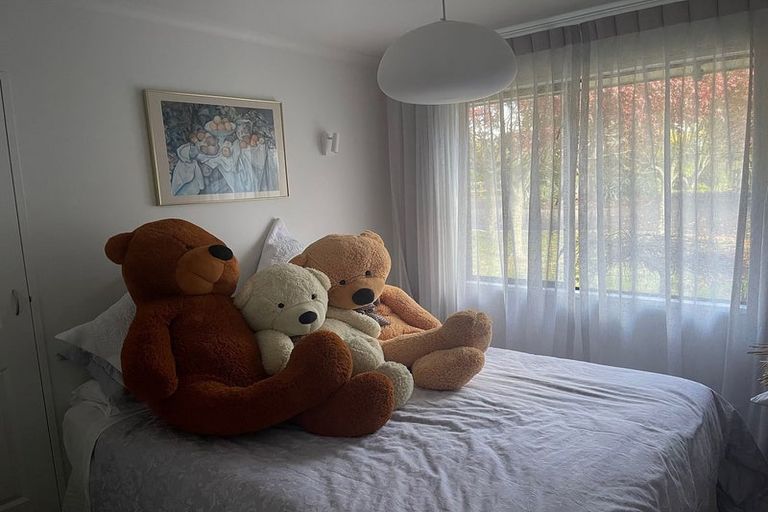 Photo of property in 265 Pencarrow Road, Tamahere, Hamilton, 3283