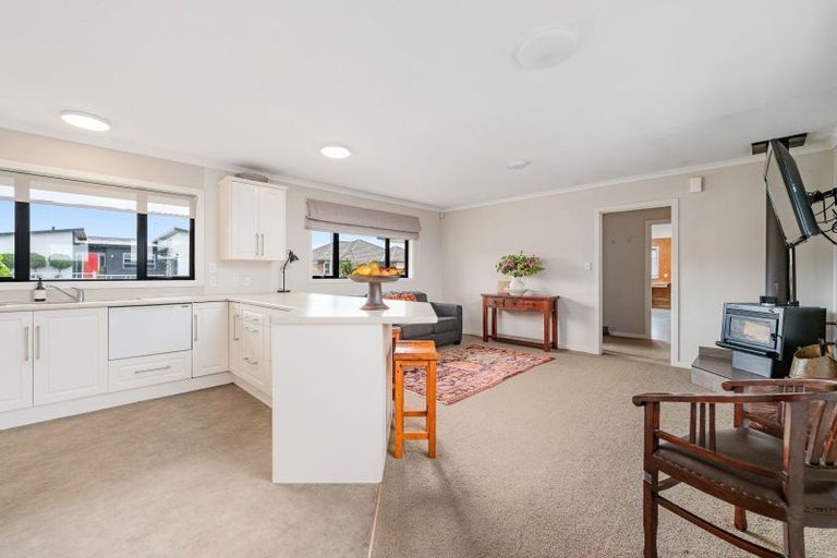 Photo of property in 32 Ursula Drive, Feilding, 4702