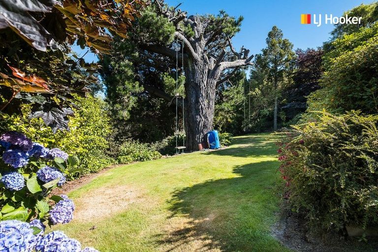 Photo of property in 115 Belford Street, Waverley, Dunedin, 9013