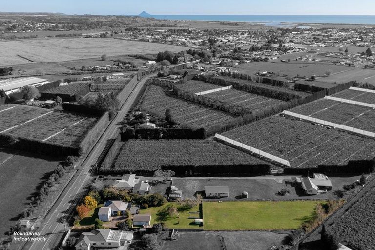 Photo of property in 51 Otara Road, Otara, Opotiki, 3197