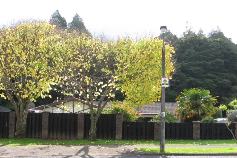 Photo of property in 13 Idesia Place, Totara Heights, Auckland, 2105