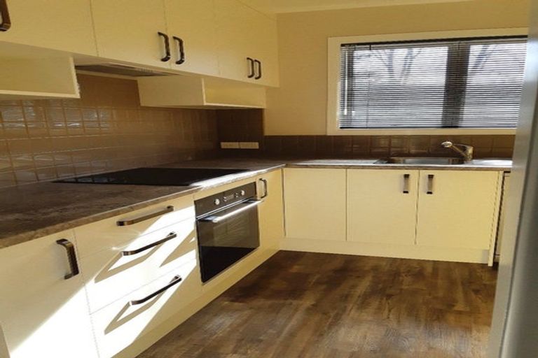 Photo of property in 29 Carlson Crescent, Silverdale, Hamilton, 3216