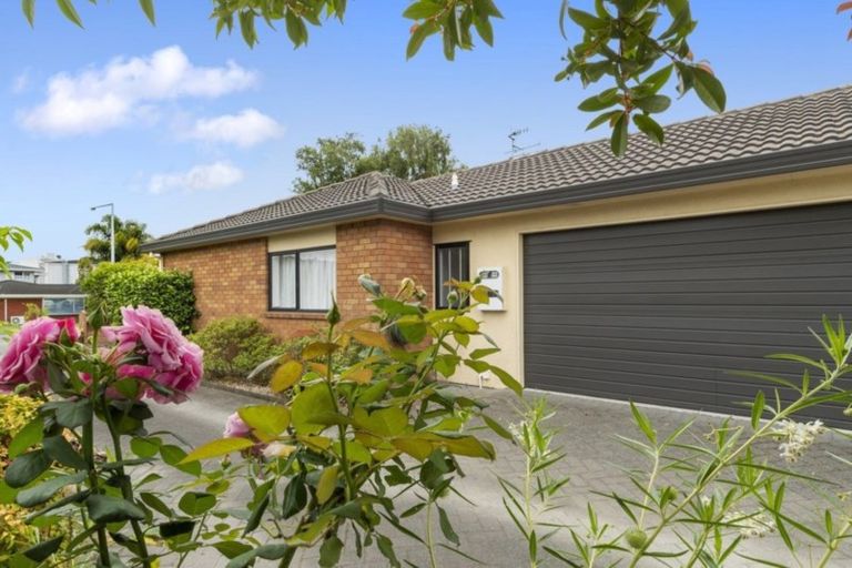 Photo of property in 36a Norris Street, Tauranga, 3110