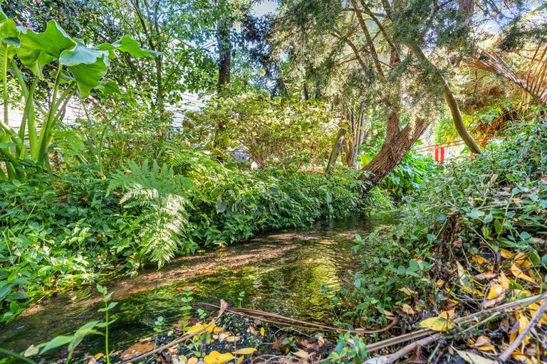 Photo of property in 60 Cole Street, Masterton, 5810