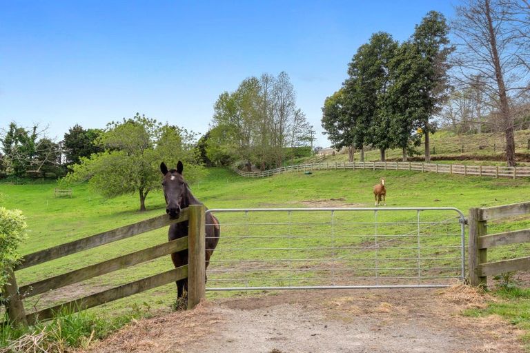 Photo of property in 182 Crawford Road, Minden, Tauranga, 3171