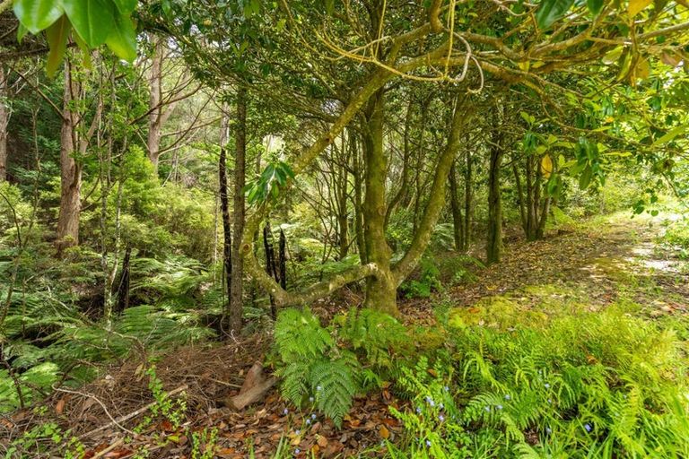 Photo of property in 189 Waikino Road, Karetu, Kawakawa, 0283
