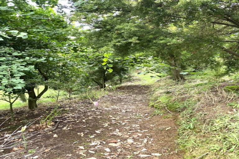 Photo of property in 137 Ellis Road, Otorohanga, 3974