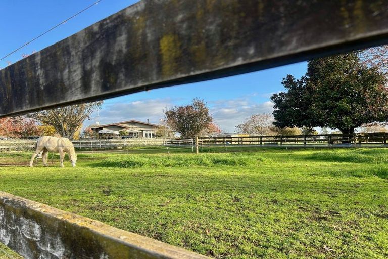 Photo of property in 397 Whakahoro Road, Springdale, Waitoa, 3380