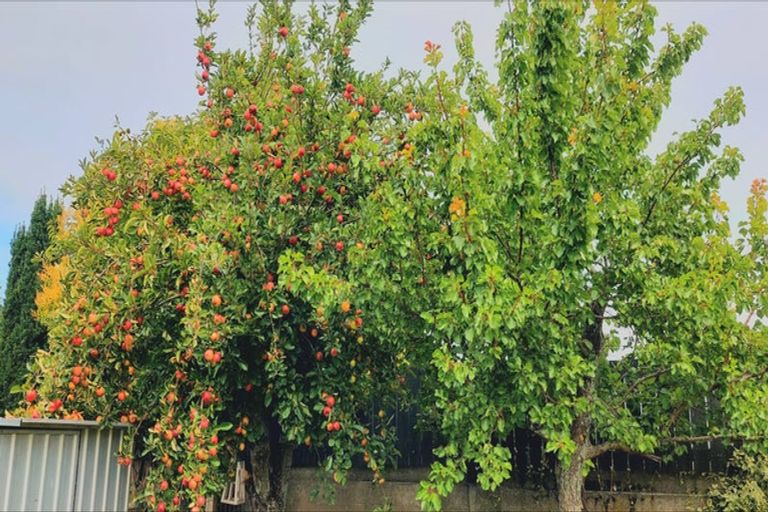 Photo of property in 27a Hiley Street, Springlands, Blenheim, 7201