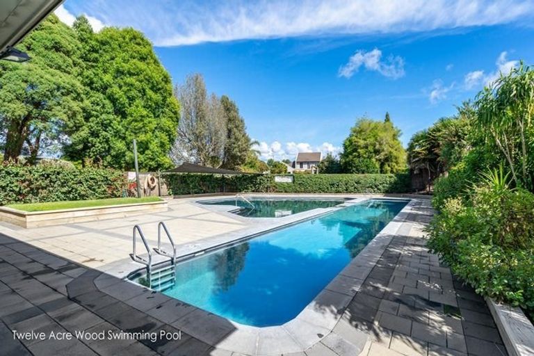 Photo of property in 41 Contour Avenue, Pyes Pa, Tauranga, 3112