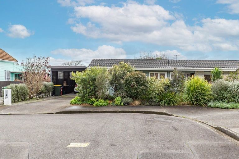Photo of property in 37 Kent Street, Levin, 5510