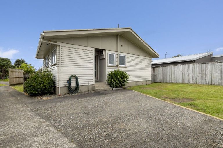 Photo of property in 254 Huatoki Street, Upper Vogeltown, New Plymouth, 4310