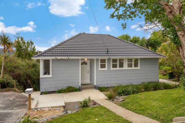 Photo of property in 107 Hampshire Street, Cannons Creek, Porirua, 5024