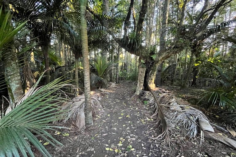 Photo of property in 408 Twilight Road, Brookby, Auckland, 2576