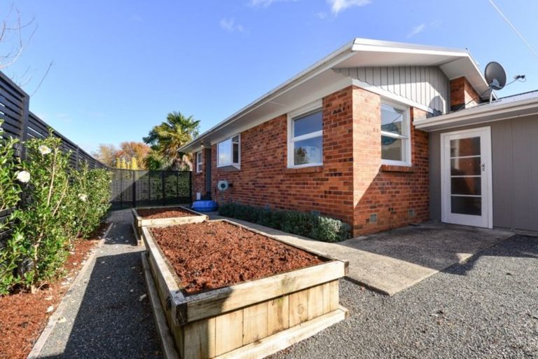 Photo of property in 48 Scott Street, Leamington, Cambridge, 3432