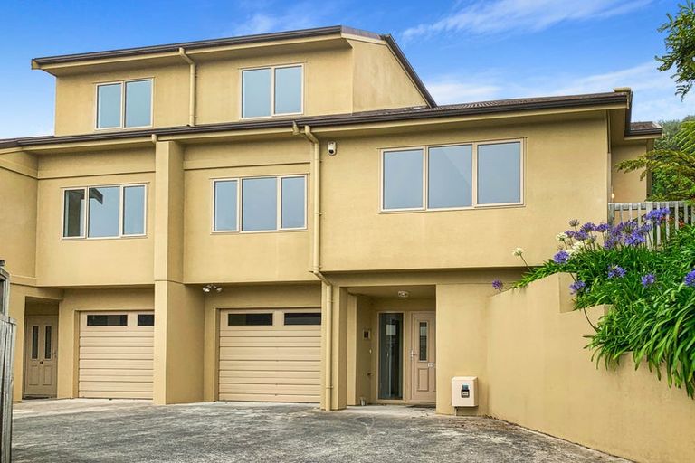 Photo of property in 17 Sirsi Terrace, Broadmeadows, Wellington, 6035