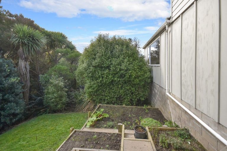Photo of property in 37 Duckworth Street, Andersons Bay, Dunedin, 9013
