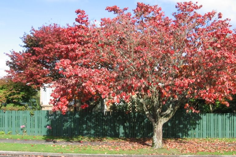 Photo of property in 15 Karaka Place, Tokoroa, 3420