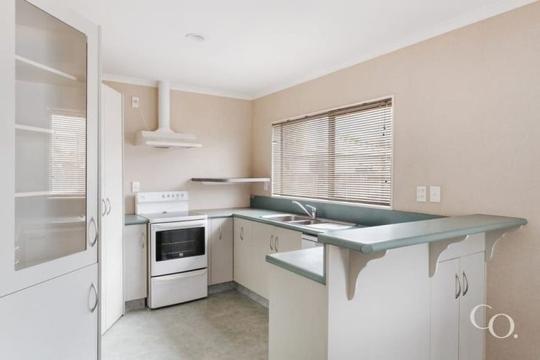 Photo of property in 37 Solomon Street, Brookfield, Tauranga, 3110