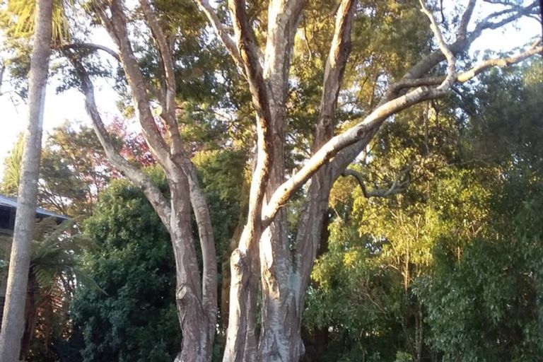 Photo of property in 14b Weka Road, Waipahihi, Taupo, 3330