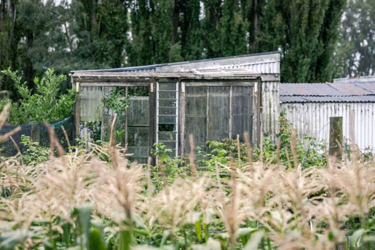 Photo of property in 105 Albert Street, Elgin, Ashburton, 7700