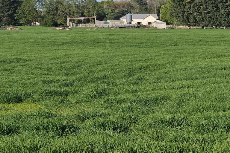 Photo of property in 1a College Street, Oamaru North, Oamaru, 9400