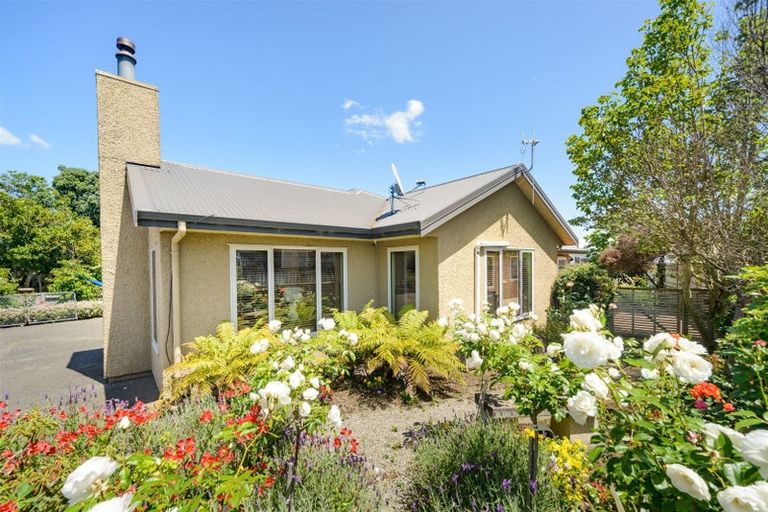 Photo of property in 207 Salisbury Street, Ashhurst, 4810