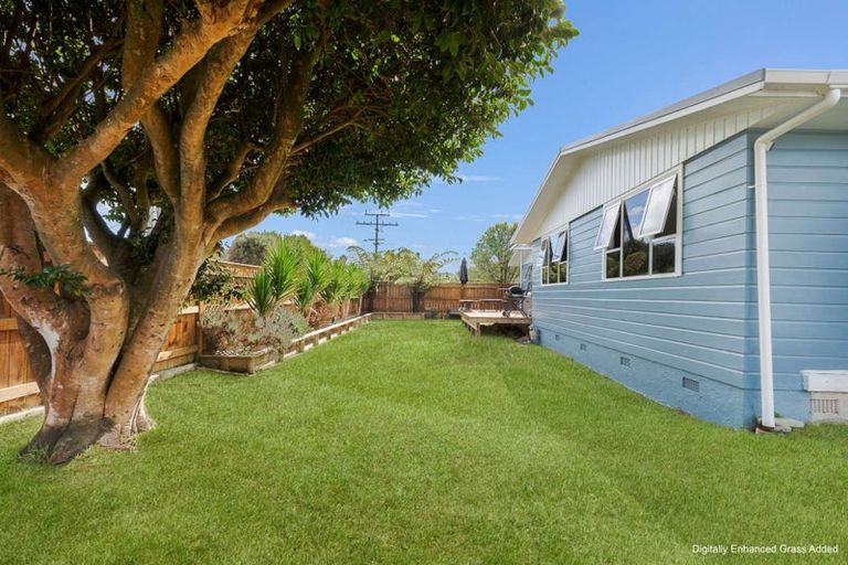 Photo of property in 59 Read Street, Levin, 5510