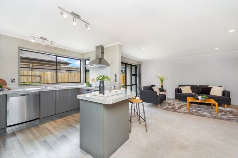 Photo of property in 54c Willoughby Street, Whitiora, Hamilton, 3200