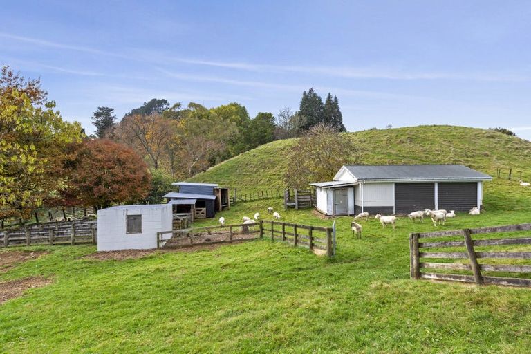 Photo of property in 26 Tammadge Street, Te Kuiti, 3910