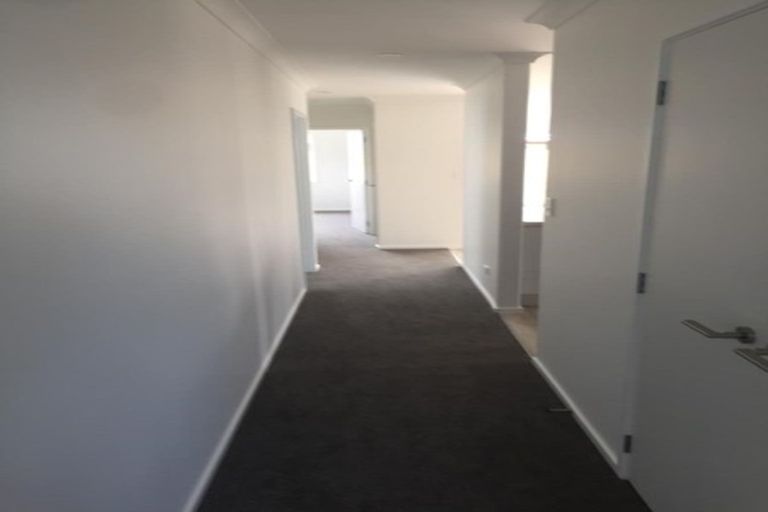 Photo of property in 79 Bert Wall Drive, Omokoroa, 3114