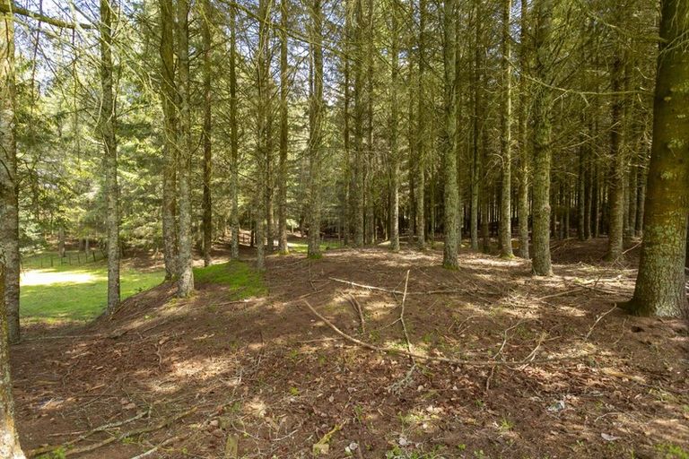 Photo of property in 60 Palmer Mill Road, Wairakei, Taupo, 3384