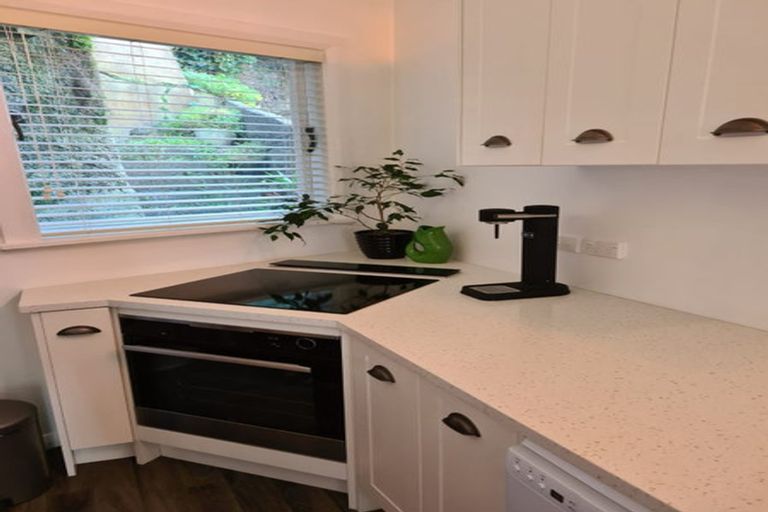 Photo of property in 137 Elizabeth Street, Mount Victoria, Wellington, 6011