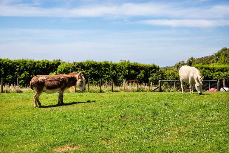 Photo of property in 1327 South Road, Kaitake, New Plymouth, 4374