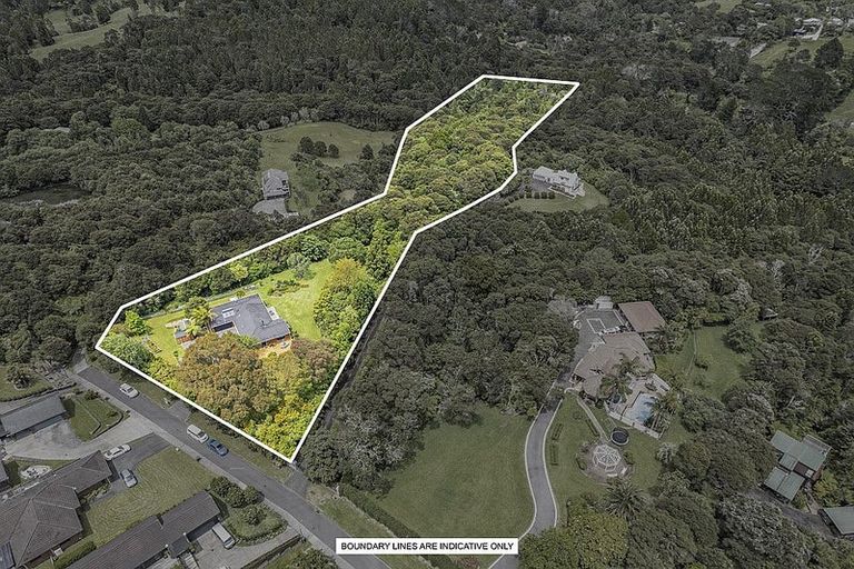 Photo of property in 45 Autumn Avenue, Glen Eden, Auckland, 0602