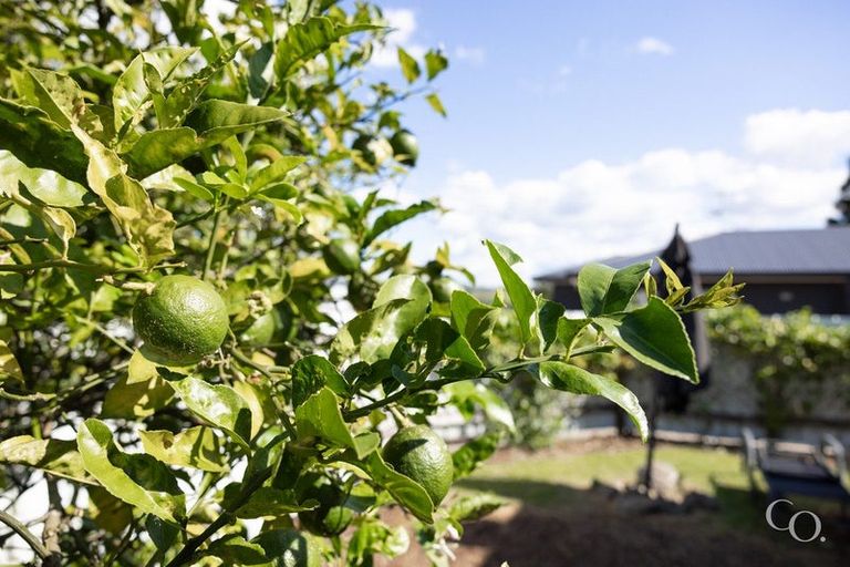 Photo of property in 22a Hinerua Street, Maungatapu, Tauranga, 3112